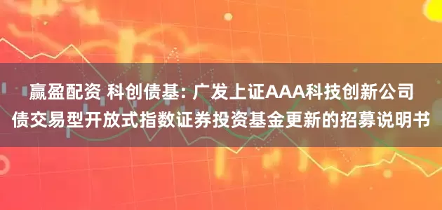 赢盈配资 科创债基: 广发上证AAA科技创新公司债交易型开放式指数证券投资基金更新的招募说明书