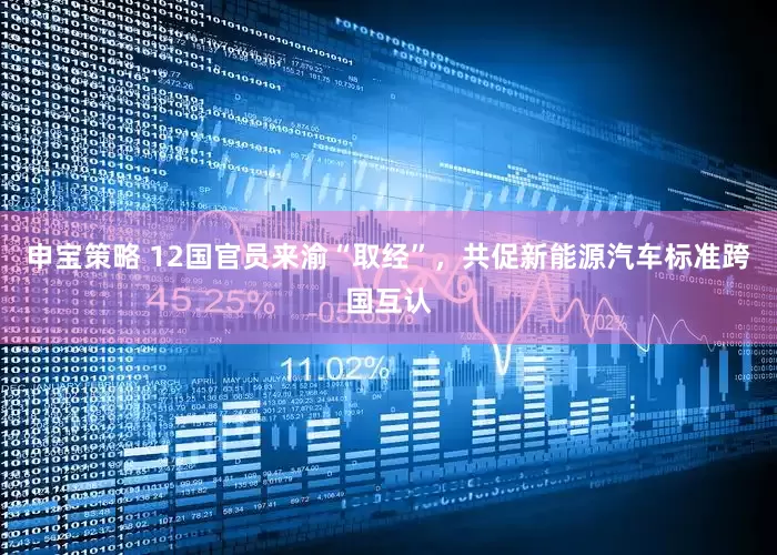 申宝策略 12国官员来渝“取经”，共促新能源汽车标准跨国互认