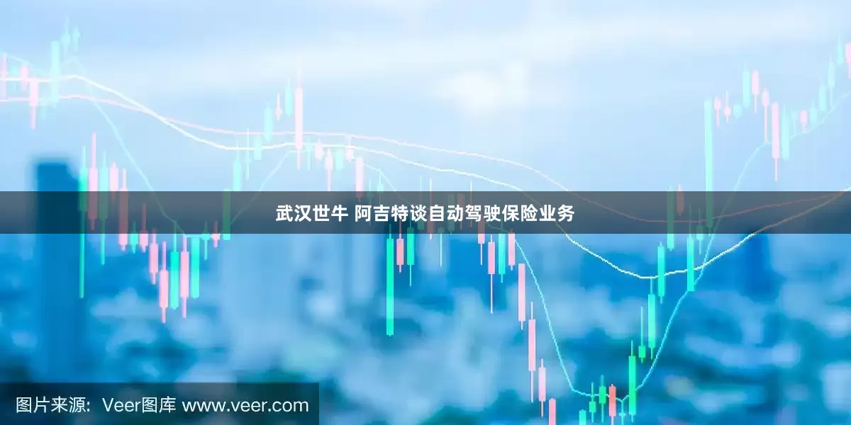 武汉世牛 阿吉特谈自动驾驶保险业务