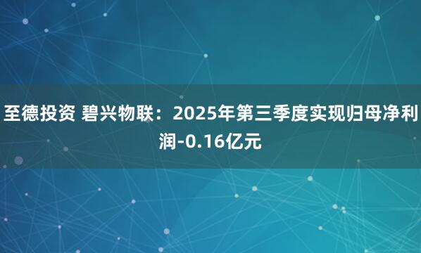 至德投资 碧兴物联：2025年第三季度实现归母净利润-0.16亿元